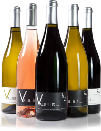 Les Vins du Domaine Val Julius
